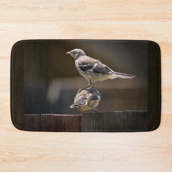 Item preview, Stacked Birds designed and sold by CarolM.