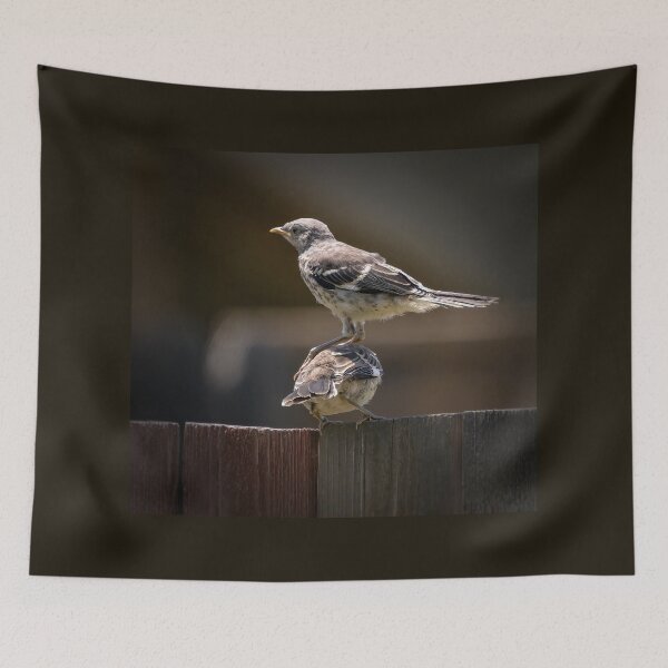 Item preview, Stacked Birds designed and sold by CarolM.