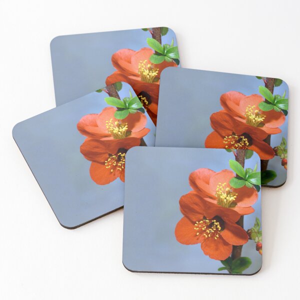 Item preview, Japanese quince designed and sold by Tom McPherson Photography.