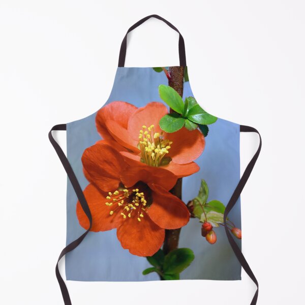 Item preview, Japanese quince designed and sold by Tom McPherson Photography.