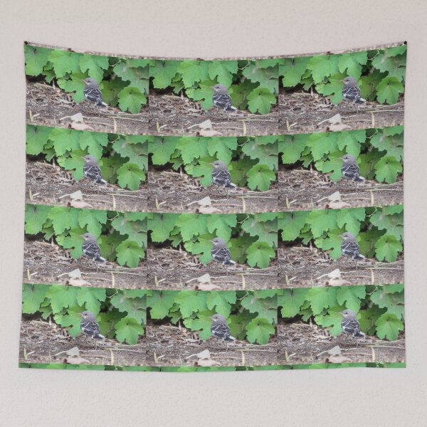 Item preview, Young Mockingbird Fledgling designed and sold by CarolM.