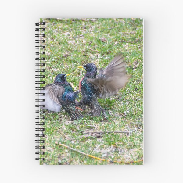 Item preview, Brawling Birds designed and sold by jrtwynam.