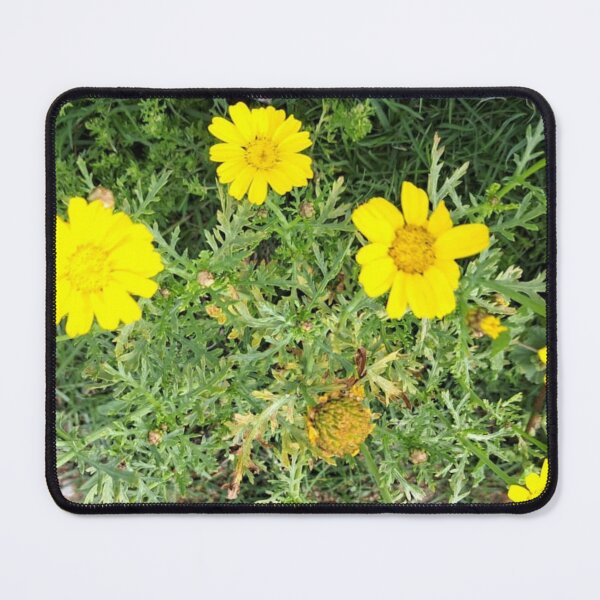Item preview, Yellow flowers in the garden designed and sold by sadeek1021953Ss.