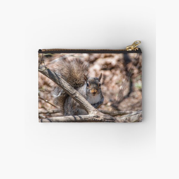 Item preview, Squirrel Peers Out from Behind a Branch designed and sold by jrtwynam.