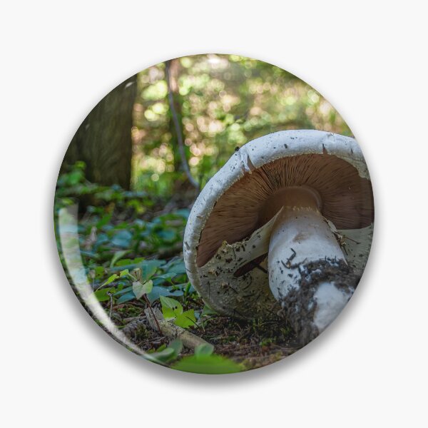 Item preview, Mushroom Grows in a Forest 2 designed and sold by jrtwynam.