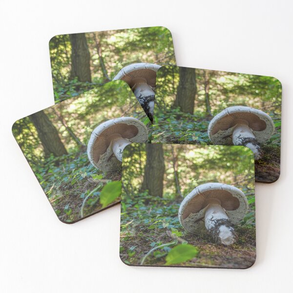 Item preview, Mushroom Grows in a Forest 2 designed and sold by jrtwynam.