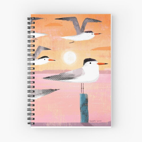 Item preview, Caspian Terns at Sunset designed and sold by gklucas.