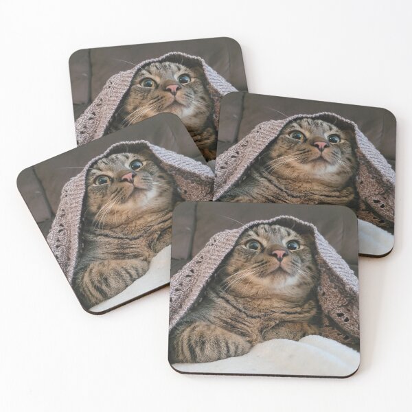 Item preview, Kitten Playing Under a Blanket designed and sold by WhiteSoftPetals.