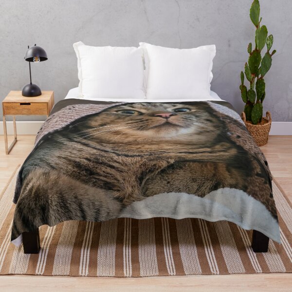 Item preview, Kitten Playing Under a Blanket designed and sold by WhiteSoftPetals.