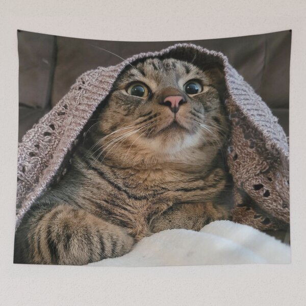Item preview, Kitten Playing Under a Blanket designed and sold by WhiteSoftPetals.