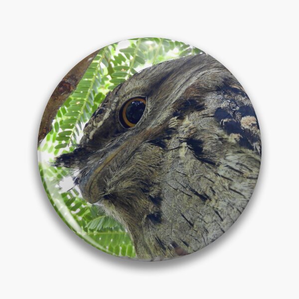 Item preview,  Tawny Frogmouth side view designed and sold by Mark Grimsley.