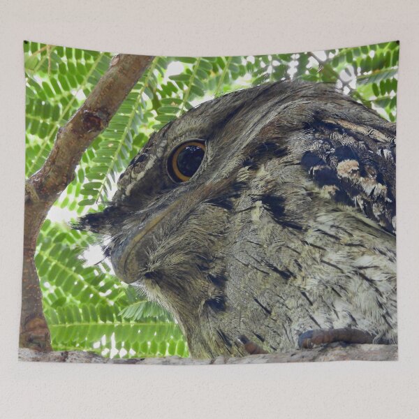 Item preview,  Tawny Frogmouth side view designed and sold by Mark Grimsley.