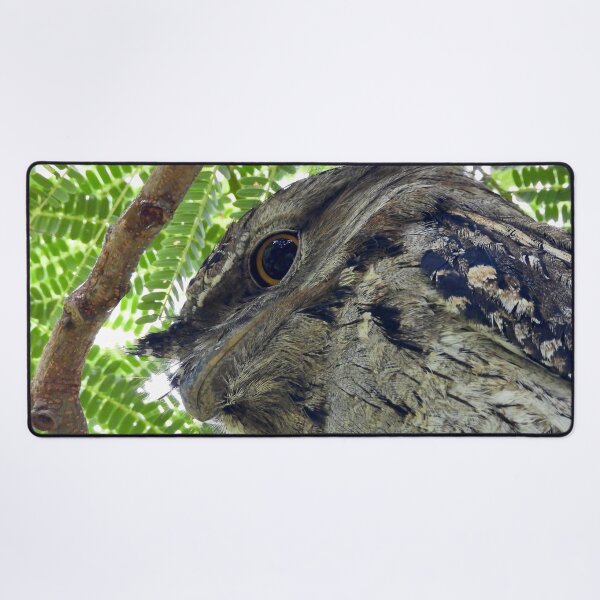 Item preview,  Tawny Frogmouth side view designed and sold by Mark Grimsley.