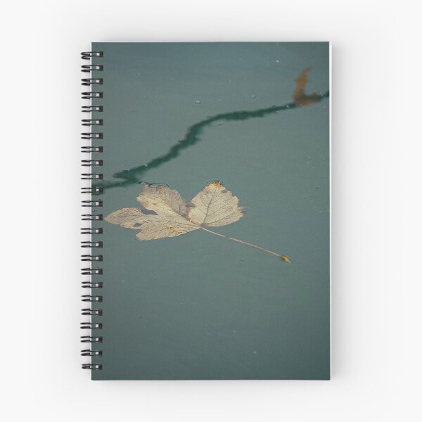 Item preview, Drifting leaf designed and sold by Murphotography.