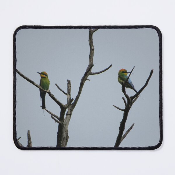 Item preview, rainbow bee eater designed and sold by Bob-tography.