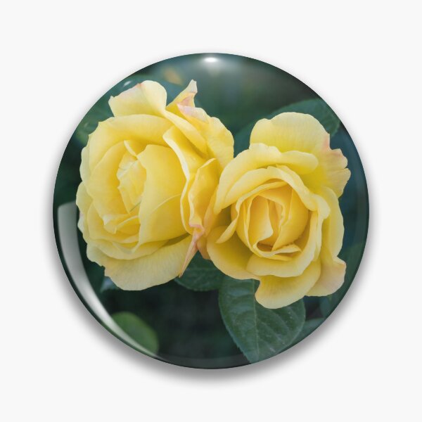 Item preview, Mellow Yellow Rose Pair Against Deep Green Foliage designed and sold by Georgia Mizuleva.