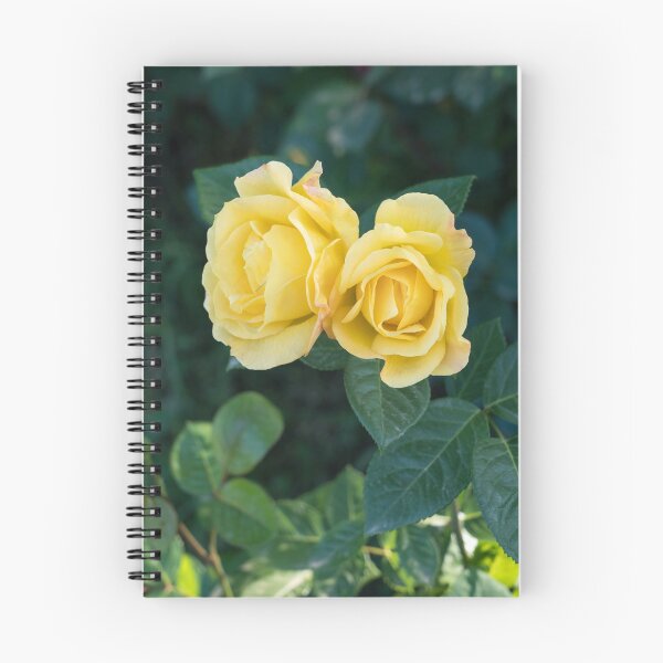 Item preview, Mellow Yellow Rose Pair Against Deep Green Foliage designed and sold by Georgia Mizuleva.