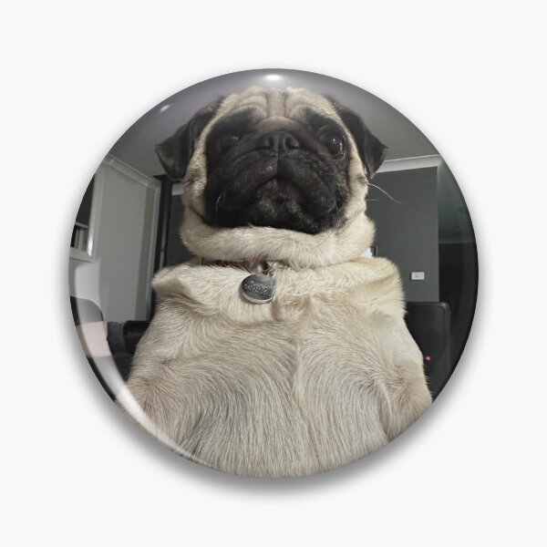 Item preview, Funny Pug designed and sold by hannahelise007.