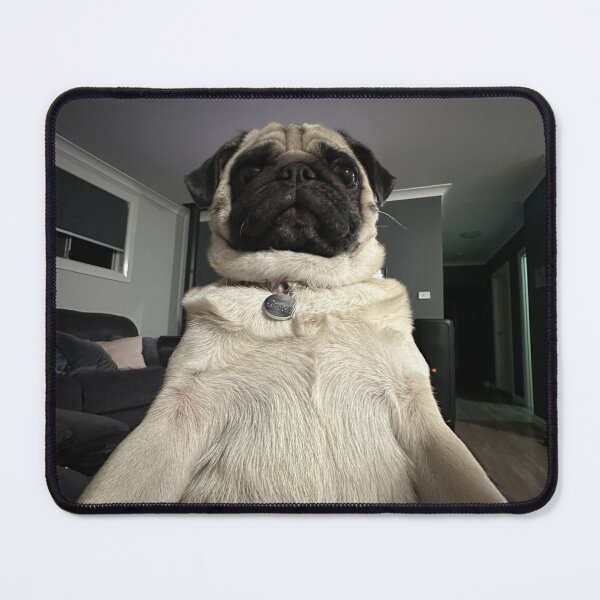Item preview, Funny Pug designed and sold by hannahelise007.
