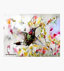Lighter Than Air Photographic Print
