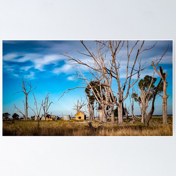 Item preview, The Desolate Homestead - Bridgewater, Victoria, Australia designed and sold by Steven Jodoin.