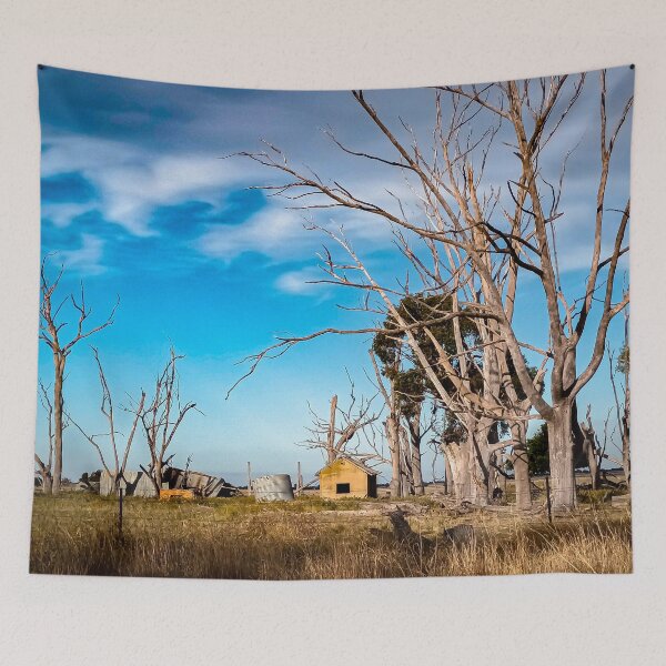 Item preview, The Desolate Homestead - Bridgewater, Victoria, Australia designed and sold by Steven Jodoin.