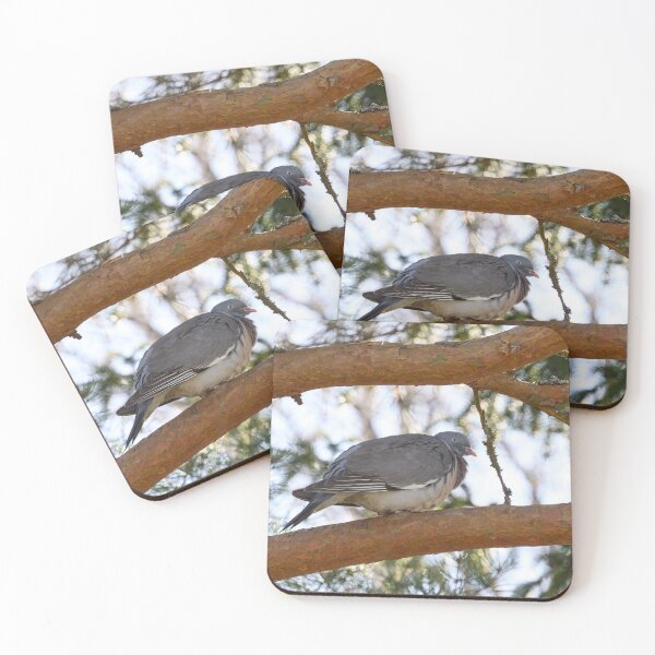 Item preview, In between. Common wood pigeon designed and sold by Jouko Lehto Photography.