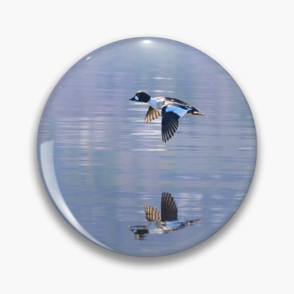 Item preview, Speedmaster. Common goldeneye designed and sold by Jouko Lehto Photography.