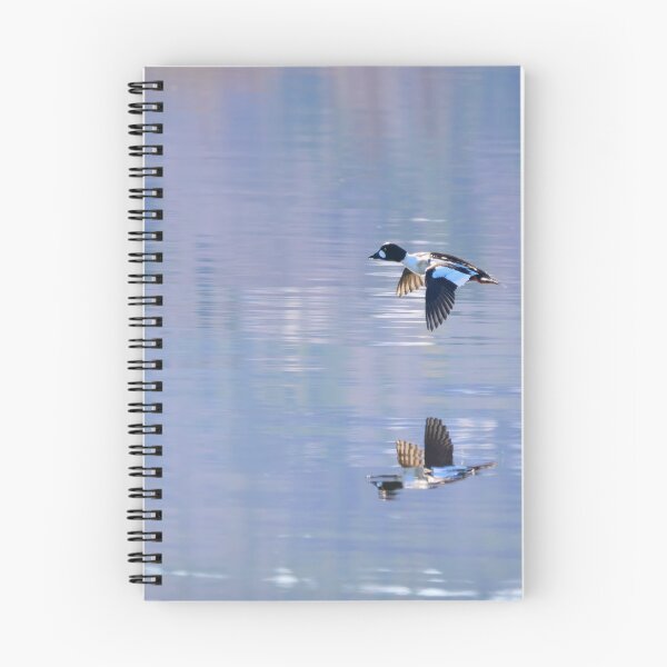 Item preview, Speedmaster. Common goldeneye designed and sold by Jouko Lehto Photography.