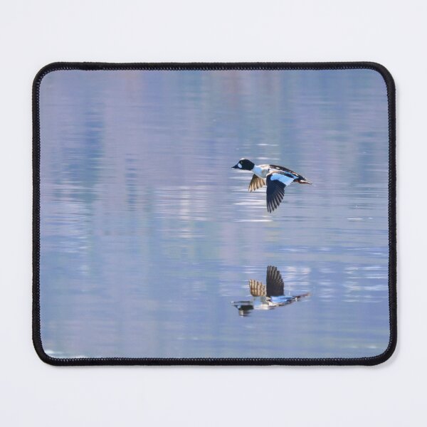 Item preview, Speedmaster. Common goldeneye designed and sold by Jouko Lehto Photography.