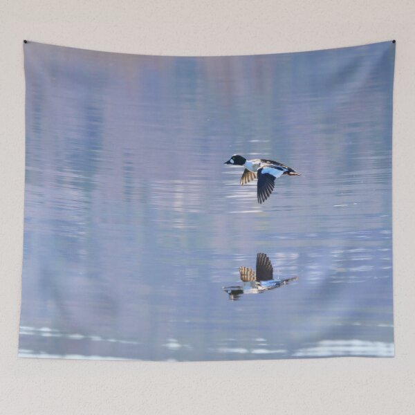 Item preview, Speedmaster. Common goldeneye designed and sold by Jouko Lehto Photography.