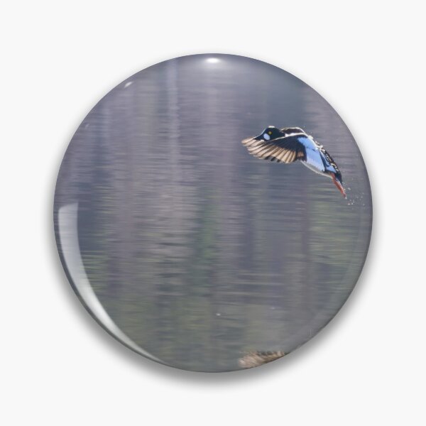Item preview, Breaks on. Common goldeneye designed and sold by Jouko Lehto Photography.