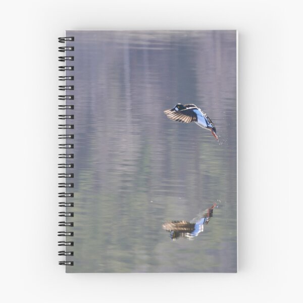 Item preview, Breaks on. Common goldeneye designed and sold by Jouko Lehto Photography.