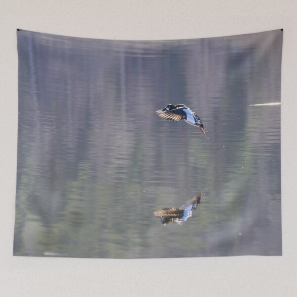 Item preview, Breaks on. Common goldeneye designed and sold by Jouko Lehto Photography.