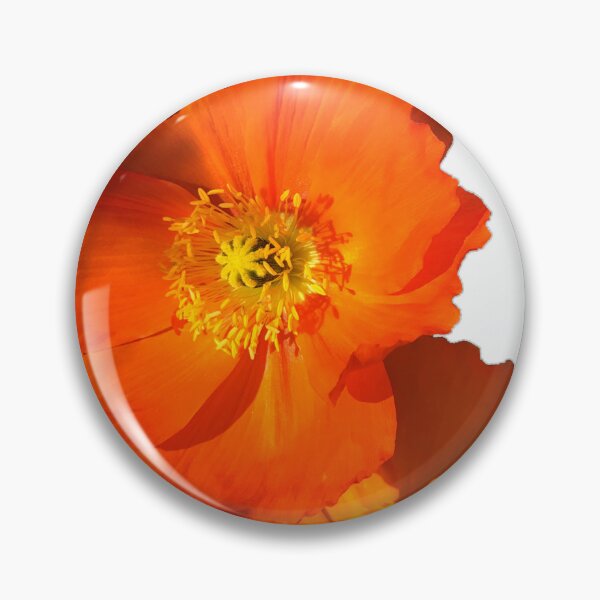 Artikelvorschau, BLUMENREIHE 1 Orange Poppy Delight entworfen und verkauft von MarcusAxel.