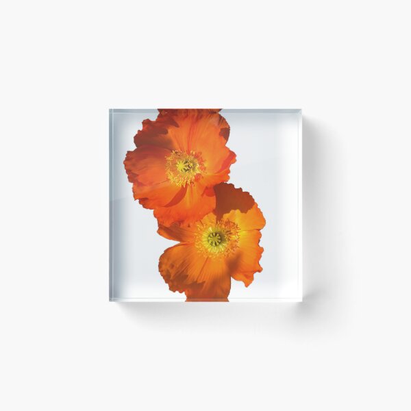 Item preview, FLOWER SERIES 1 Orange Poppy Delight designed and sold by MarcusAxel.