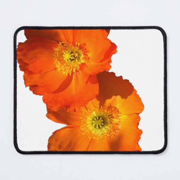 Item preview, FLOWER SERIES 1 Orange Poppy Delight designed and sold by MarcusAxel.