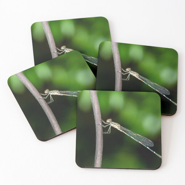 Item preview, Damselfly on Twig designed and sold by WendyJC.