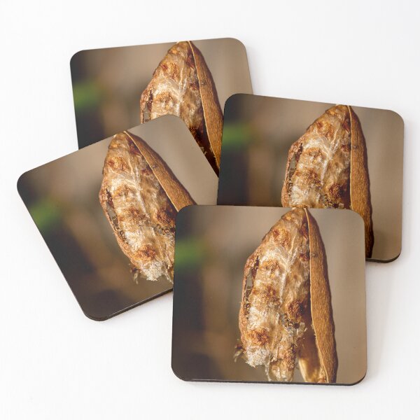 Item preview, Natural Seed Pod designed and sold by WendyJC.
