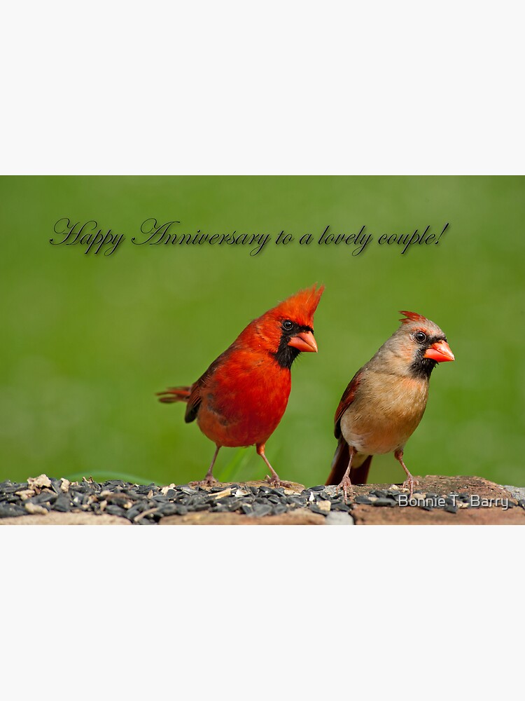 Beautiful Crazy Lyrics Couple and Cardinal Birds, Print Posters