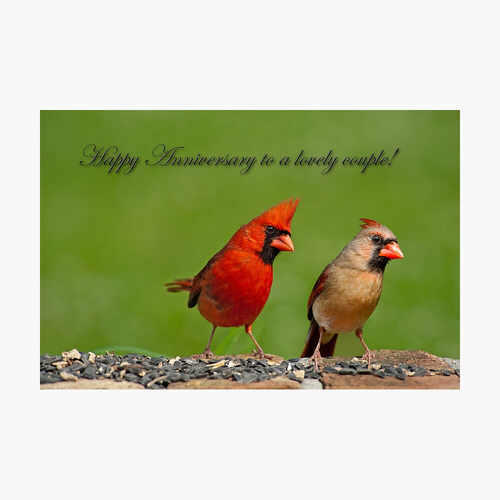 Best Gift For Anniversary For Him, Cardinal Bird To My Husband