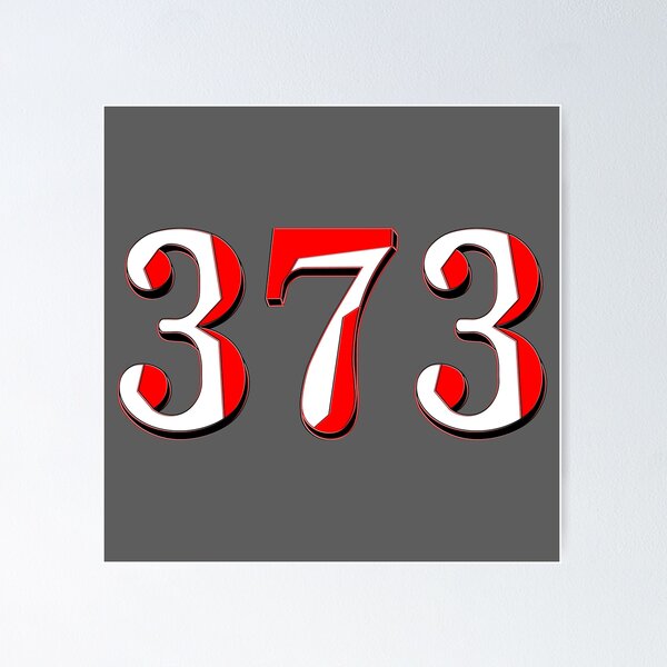 Item preview, number three hundred and seventy three digit 373 order sequence team member age designed and sold by 4rpixs.