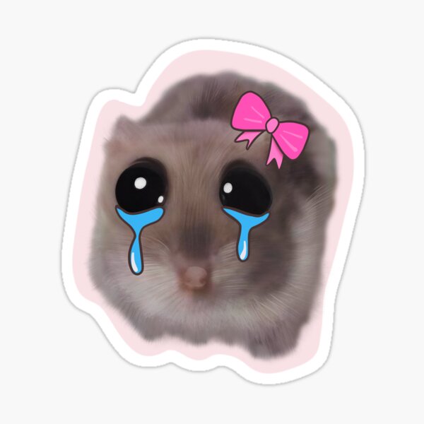 Sad hamster with big eyes and a pink bow Sticker