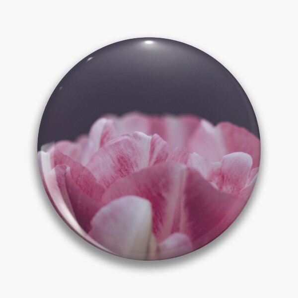 Item preview, Pink Tulip Macro Photograph - White Blooming Petals designed and sold by LeighMilesArt.