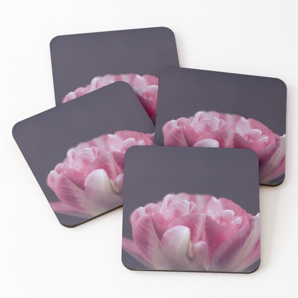 Item preview, Pink Tulip Macro Photograph - White Blooming Petals designed and sold by LeighMilesArt.