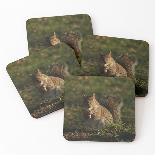 Item preview, Gray Squirrel Eating French Fry designed and sold by gobygal.