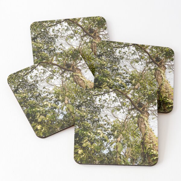 Item preview, in the middle of the rainforest designed and sold by felipequeiroz.