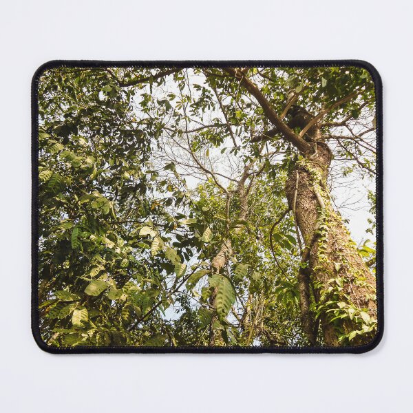 Item preview, in the middle of the rainforest designed and sold by felipequeiroz.