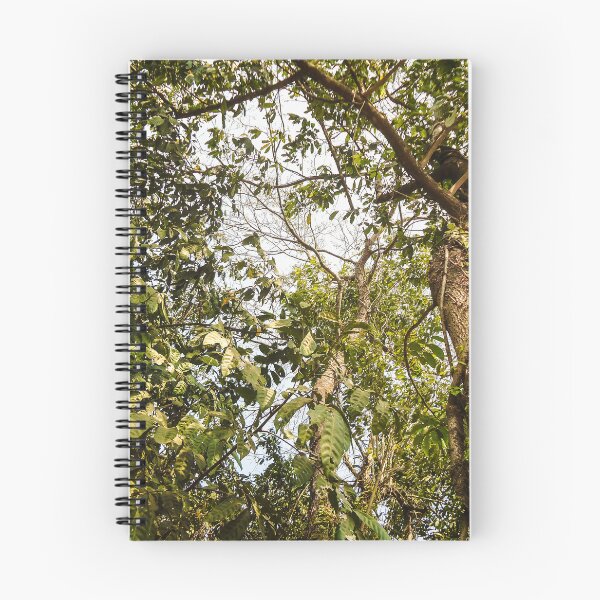 Item preview, in the middle of the rainforest designed and sold by felipequeiroz.