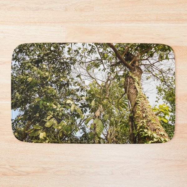Item preview, in the middle of the rainforest designed and sold by felipequeiroz.